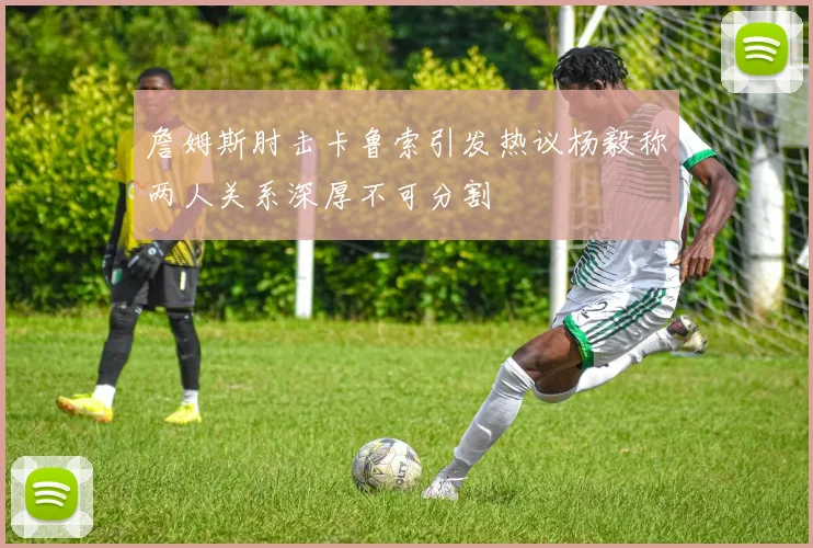 詹姆斯肘击卡鲁索引发热议杨毅称两人关系深厚不可分割