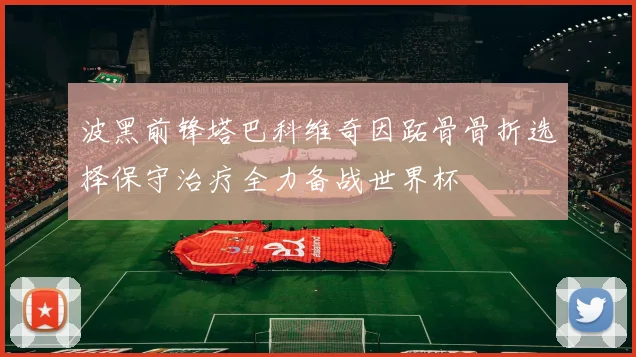 波黑前锋塔巴科维奇因跖骨骨折选择保守治疗全力备战世界杯